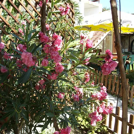 Byala Rada Zdravets (Varna)